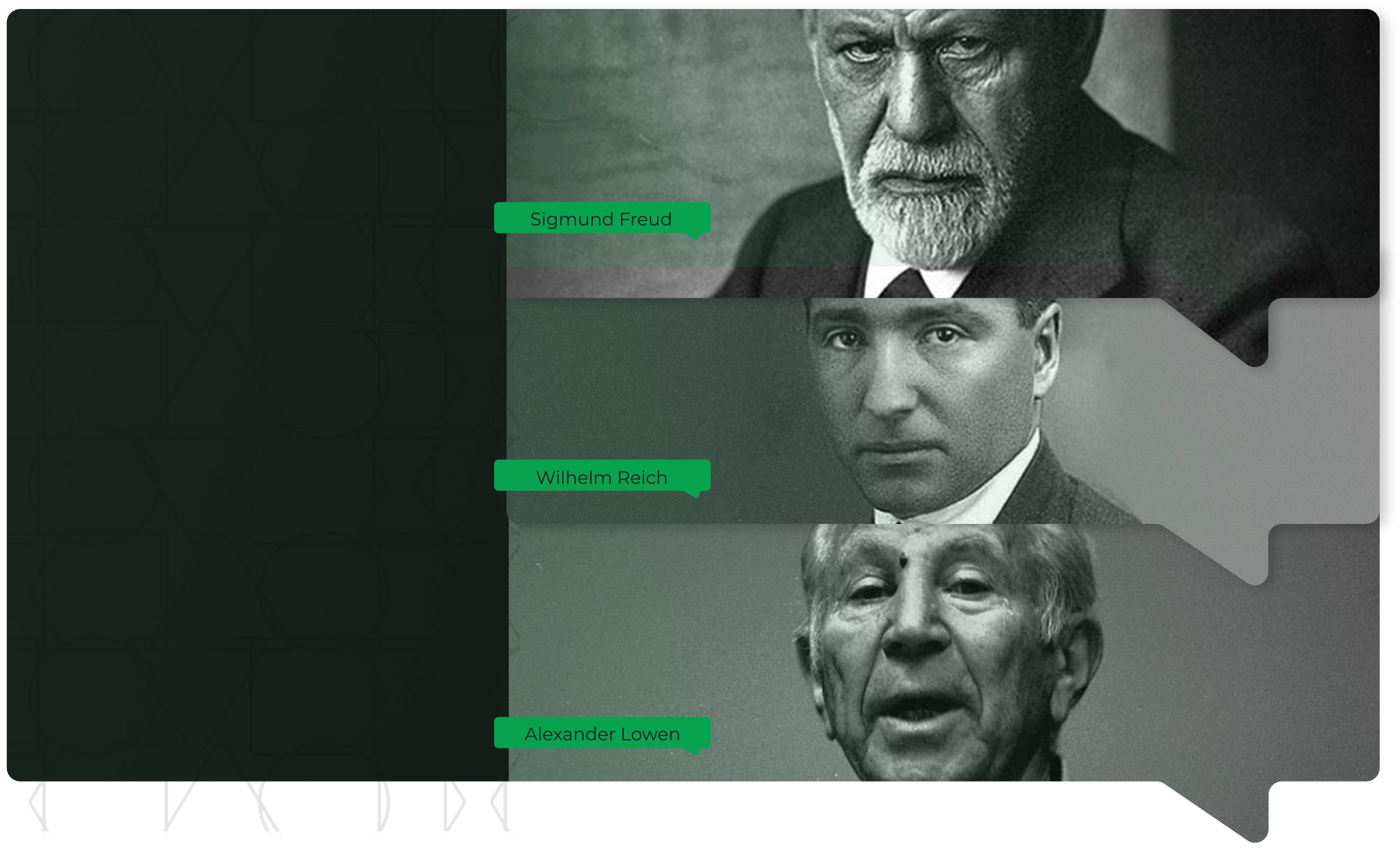 O-Corpo-Explica-Base-Científica